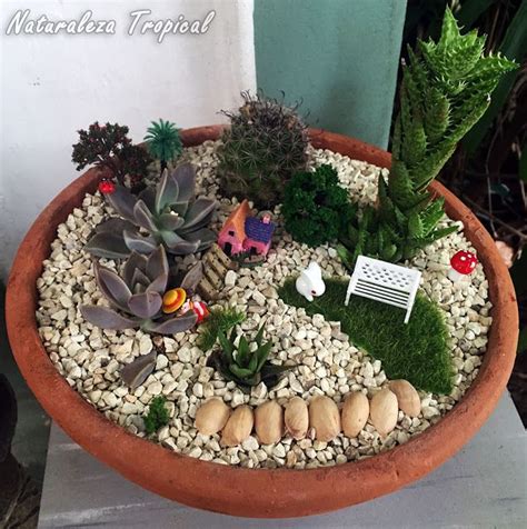 Otra decoración con plantas suculentas en macetas | Mini ...