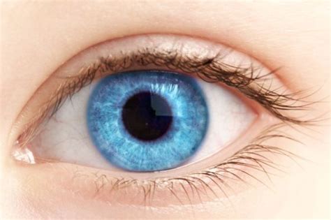 Otra ventaja de tener ojos azules | BuenaVida | EL PAÍS