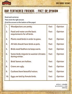 Our Feathered Friends   3rd Grade Science Worksheets   SoD
