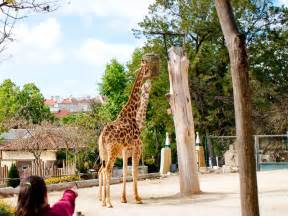 Outdoor activities in Lisbon for kids – things to do in Lisbon