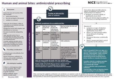 Overview | Human and animal bites: antimicrobial prescribing | Guidance ...