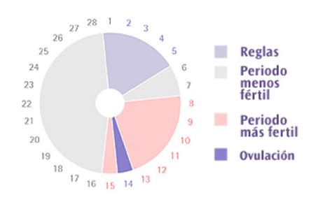 Ovulación | Quedar embarazada