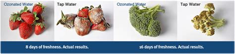 Ozone Fruit and Vegetable Washer | GL Clean N Fresh