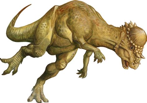 Pachycephalosaurus | The Parody Wiki | FANDOM powered by Wikia