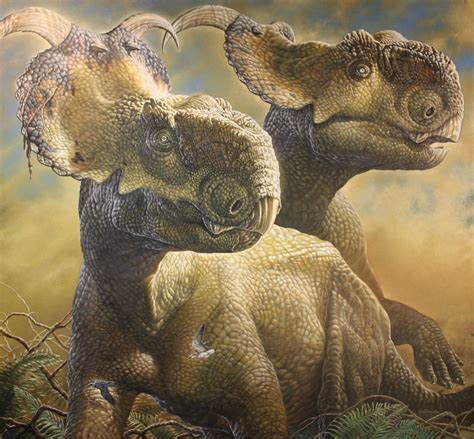 Pachyrhinosaurus   Wikipedia, la enciclopedia libre