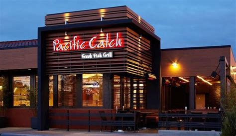 Pacific Catch, Campbell   Menu, Prices & Restaurant ...