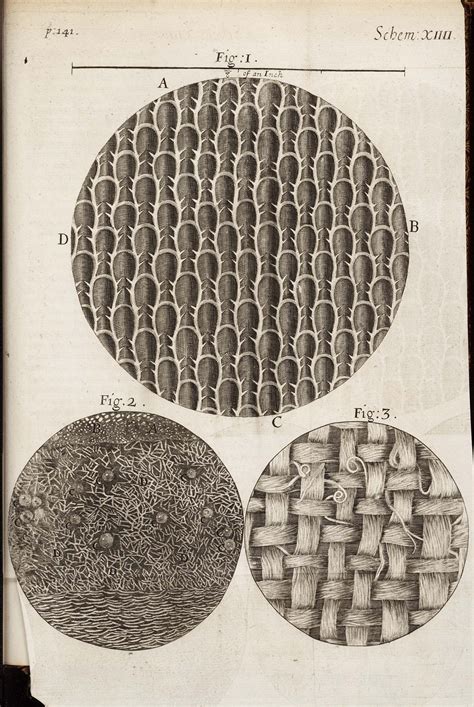 [page image] | History of science, Robert hooke, Science ...