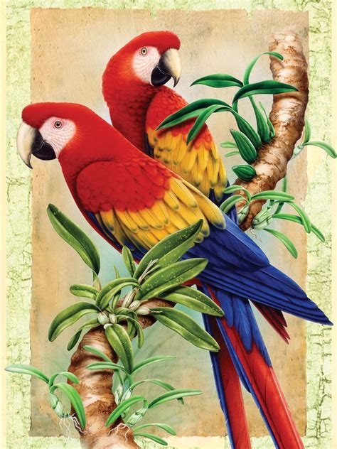 Painting by Numbers Junior Small Bamboo Parrot Set  Set of ...