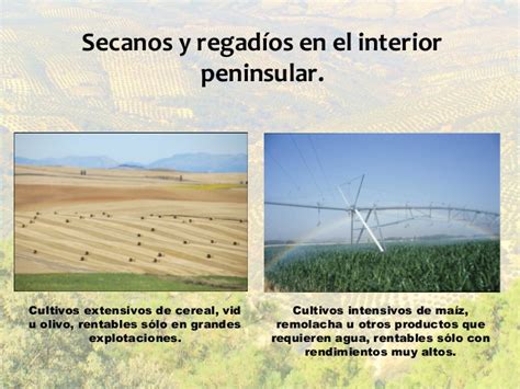 Paisajes agrarios españoles