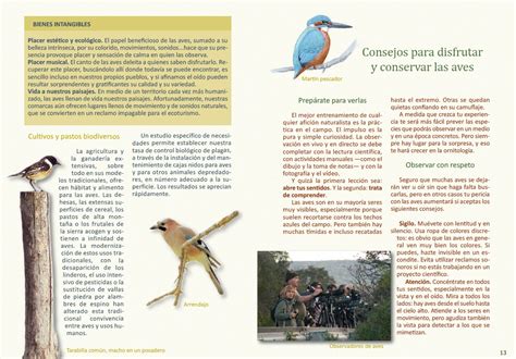 Pajareando por Iberia: Las Aves cerca de ti