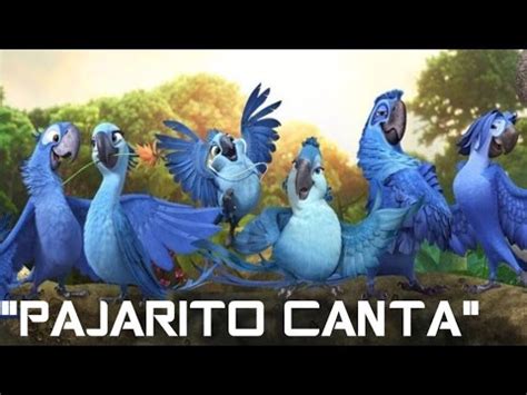 PAJARITO CANTA PAJARITO CANTA VERSION RIO { LA PELICULA } YouTube