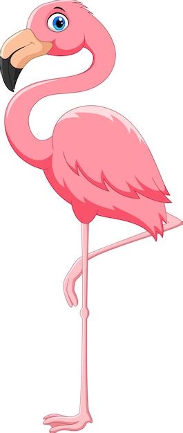 Pájaro flamenco rosado de dibujos animados | Vector Premium