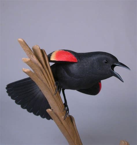 Pájaro Negro de alas rojas Tallado a mano Pájaro de madera | Etsy