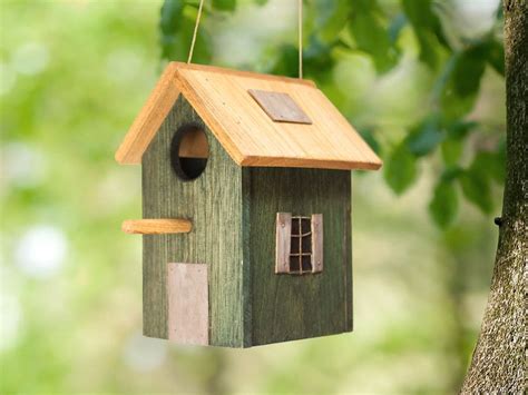 Pájaros Casita de pájaros de madera. casa para pájaros ...