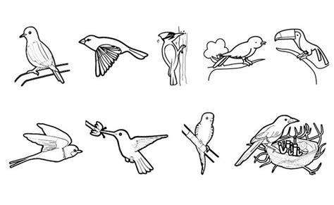 Pájaros: dibujo para colorear e imprimir | Pajaros para colorear ...