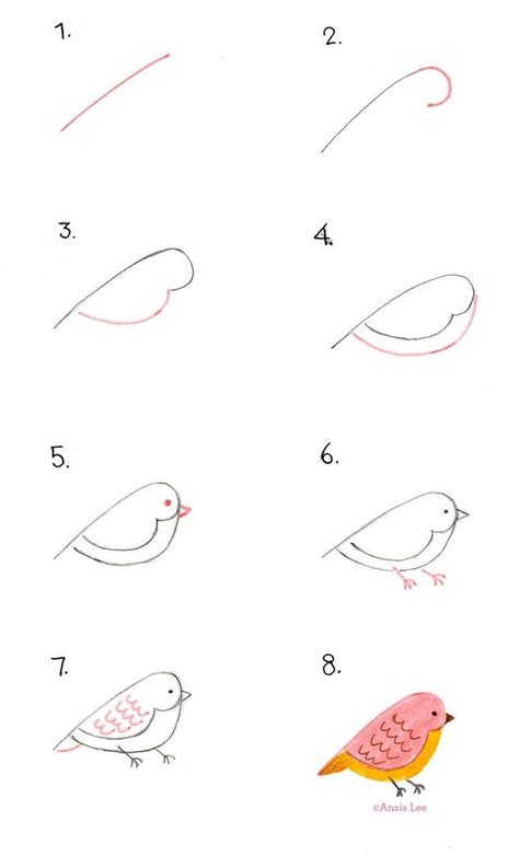 Pájaros Dibujos Fáciles para hacer  Paso a paso