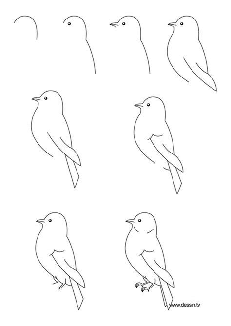 Pájaros Dibujos Fáciles para hacer  Paso a paso