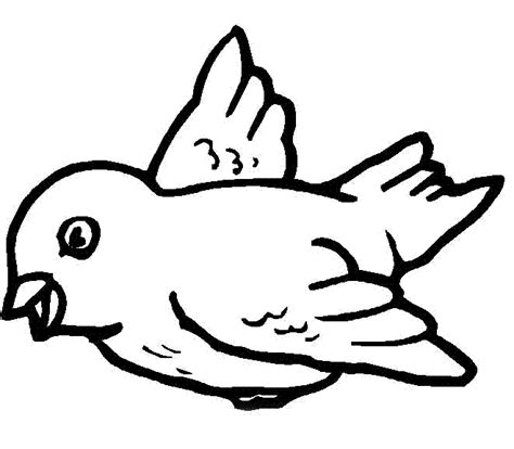 Pájaros fáciles de dibujar   Imagui