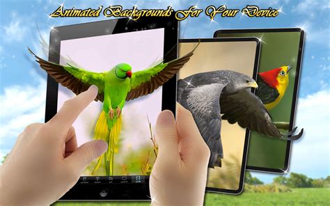 Pájaros Fondos de Pantalla con Sonido  for Android   APK ...