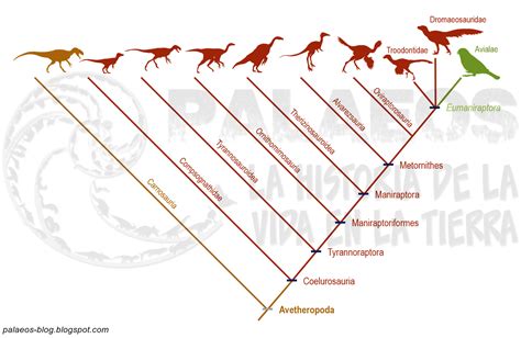 Palaeos, la historia de la Vida en la Tierra: Las aves son dinosaurios
