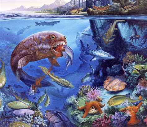 Palaeozoic marine animals   Stock Image   E445/0283 ...