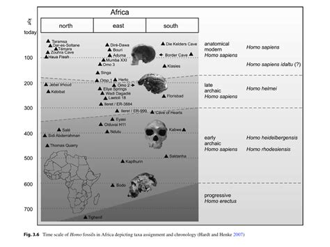 Paleoantropología hoy: Homo sapiens arcaicos recientes en ...