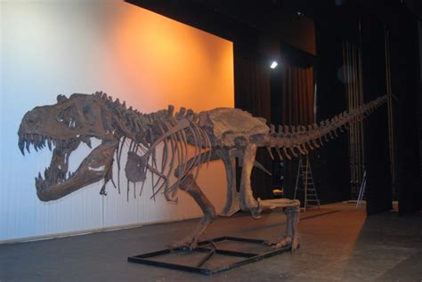 Paleomundo: dinosaurios made in ToledoDiarioAbierto