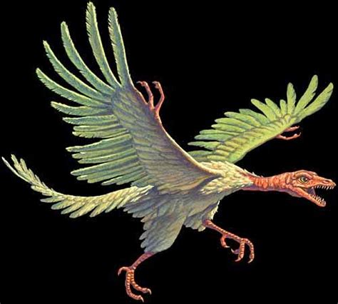 Paleontología y Evolución en la UCM: Archaeopteryx, ¿el ...