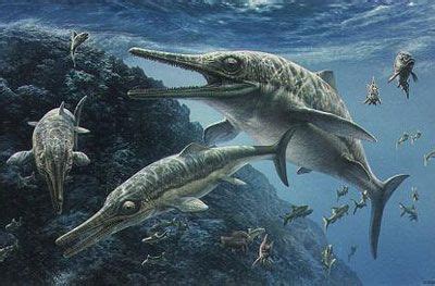 Paleontología y Evolución en la UCM: Ictiosaurios y su ...