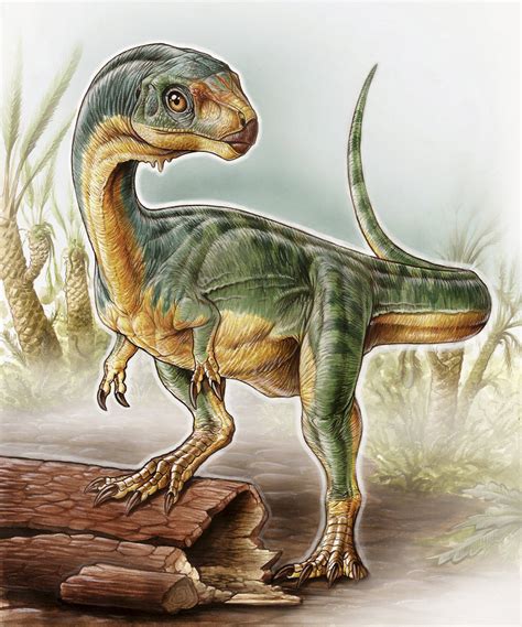 Paleontologists Discover Bizarre  Platypus  Dinosaur