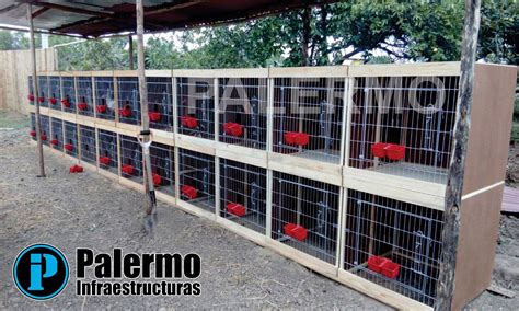 PALERMO INFRAESTRUCTURAS: Jaulas para gallos pivotante ...