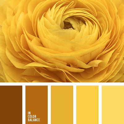 paleta del color amarillo monocromática | IN COLOR BALANCE