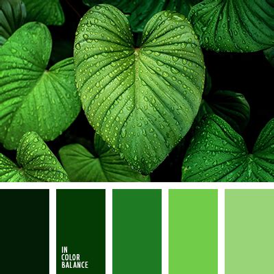 paleta del color verde monocromática | IN COLOR BALANCE