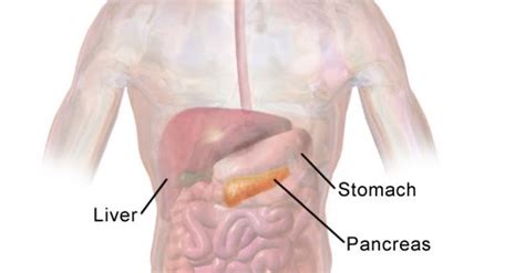 Pancreatic cancer specialist explains treatment advances ...