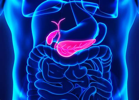 Pancreatic cancer: Symptoms, causes, and treatment