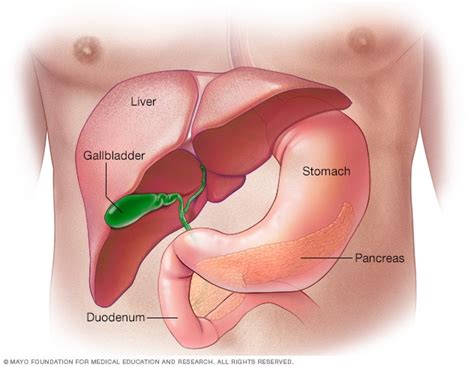 Pancreatic cysts   Symptoms and causes   Mayo Clinic