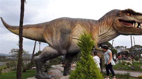 Panorama del Parque de los Dinosaurios en Orizaba ...