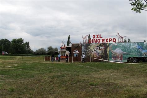 Panoramio   Photo of Dino expo