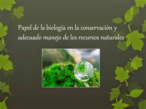Papel de la biologia en la conservación de recursos naturales