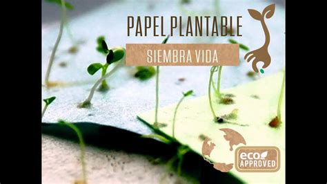 Papel Semilla Plantable Siembra Vida Lima Peru ...