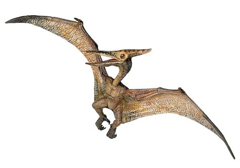 Papo Dinosaurios 55006   Pteranodon   $ 319.00 en Mercado Libre