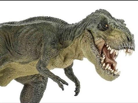 Papo T Rex Dinosaurio Juguete Para Niños   YouTube