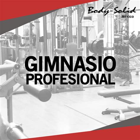 PAQUETE GIMNASIO BASICO PROFESIONAL PESO LIBRE BODY SOLID | Body Solid ...