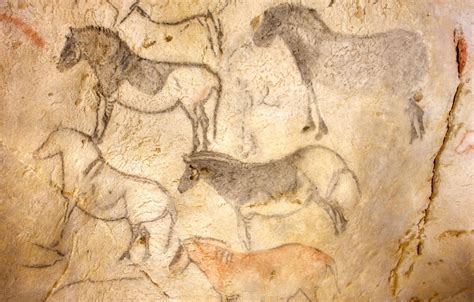 ¿Para qué pintaban los primeros humanos? | Arte rupestre, Pinturas ...