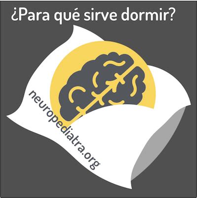 ¿Para qué sirve dormir? – neuronas en crecimiento