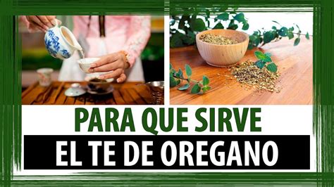 PARA QUE SIRVE EL TE DE OREGANO | PROPIEDADES DEL TE DE ...