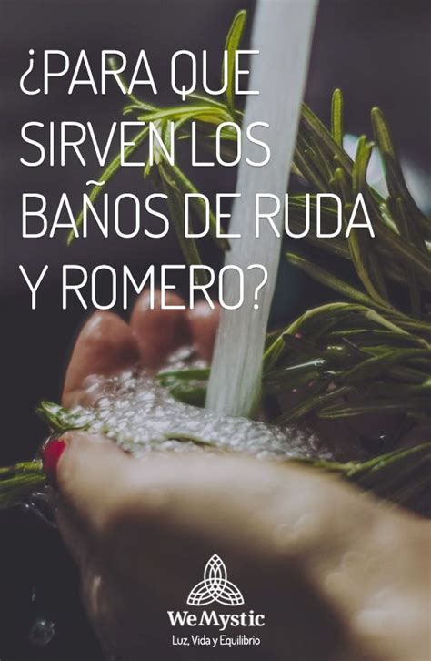 ¿Para qué sirven los baños de ruda y romero?   WeMystic | Limpieza de ...