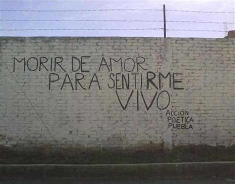 para sentirme vivo | Frases accion poetica, Poetica, Amor