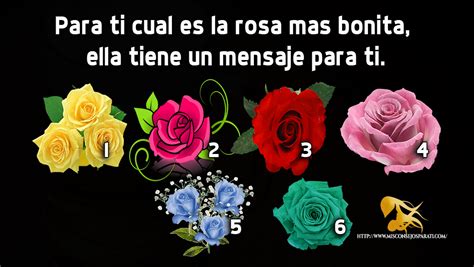 Para ti cual es la rosa mas bonita, ella tiene un mensaje para ti.