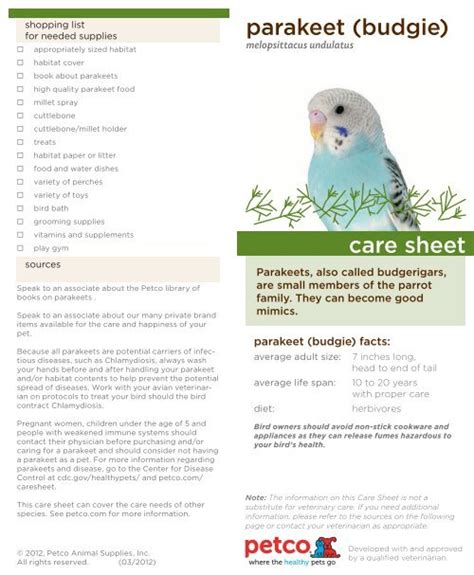 parakeet  budgie  care sheet   Petco